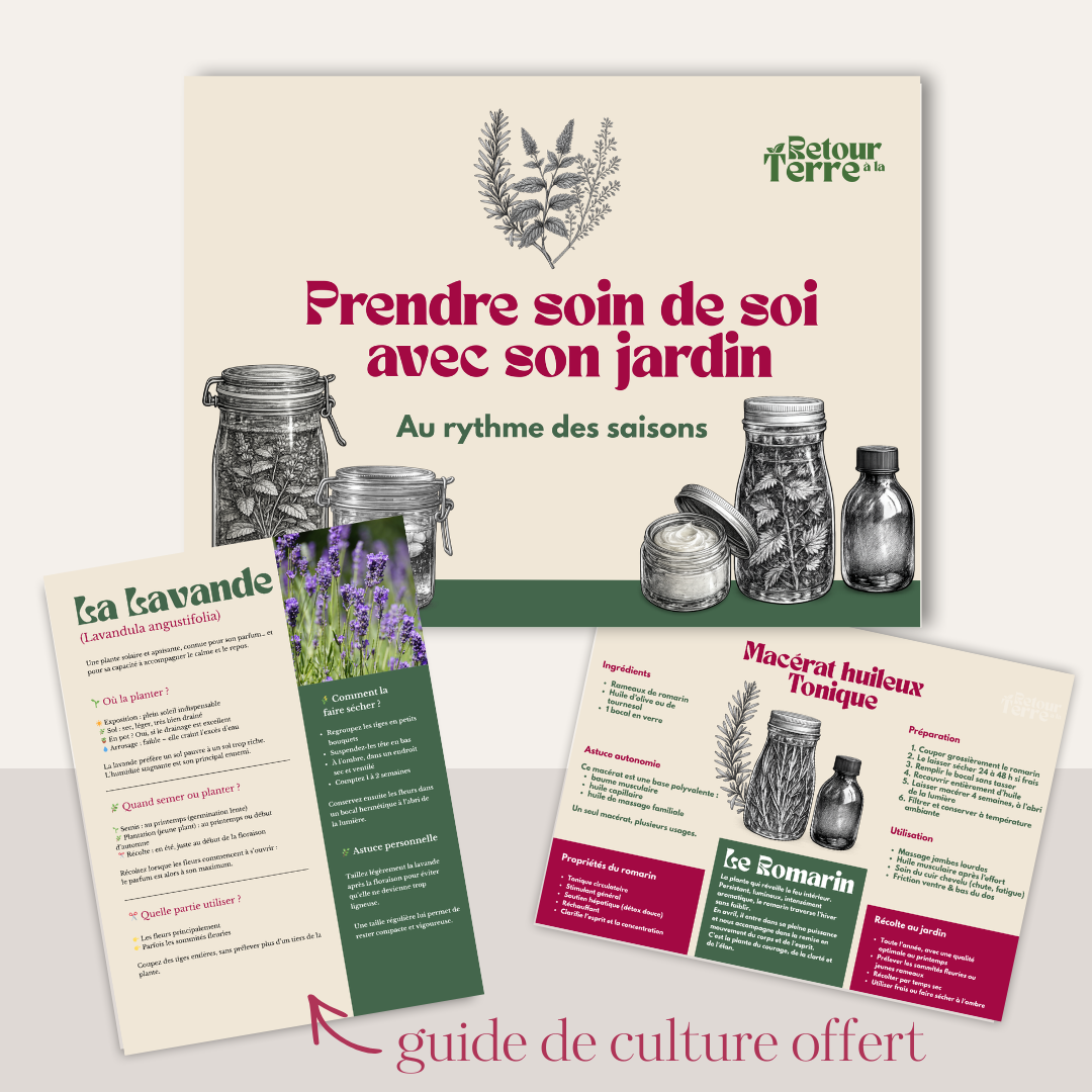 🌿 E-BOOK - PRENDRE SOIN DE SOI AVEC SON JARDIN