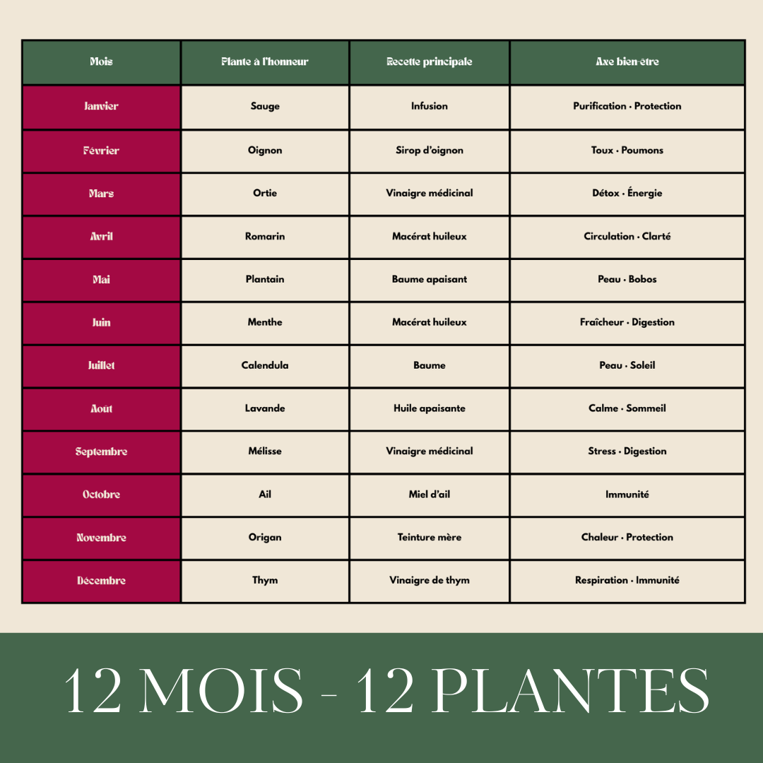 🌿 E-BOOK - PRENDRE SOIN DE SOI AVEC SON JARDIN