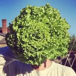 +230 000 personnes qui reviennent à la terre