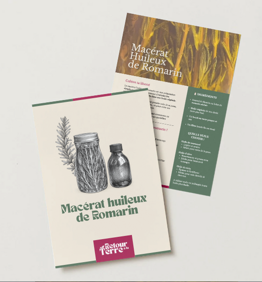 Macérat Huileux de Romarin – Fiche Recette PDF
