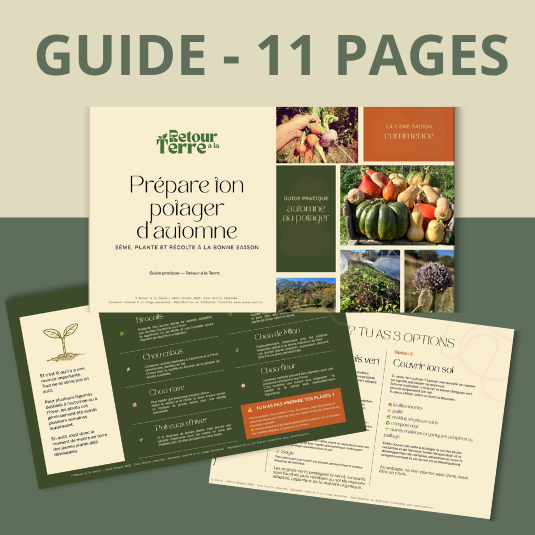 Prépare ton potager d’automne – Le guide pratique